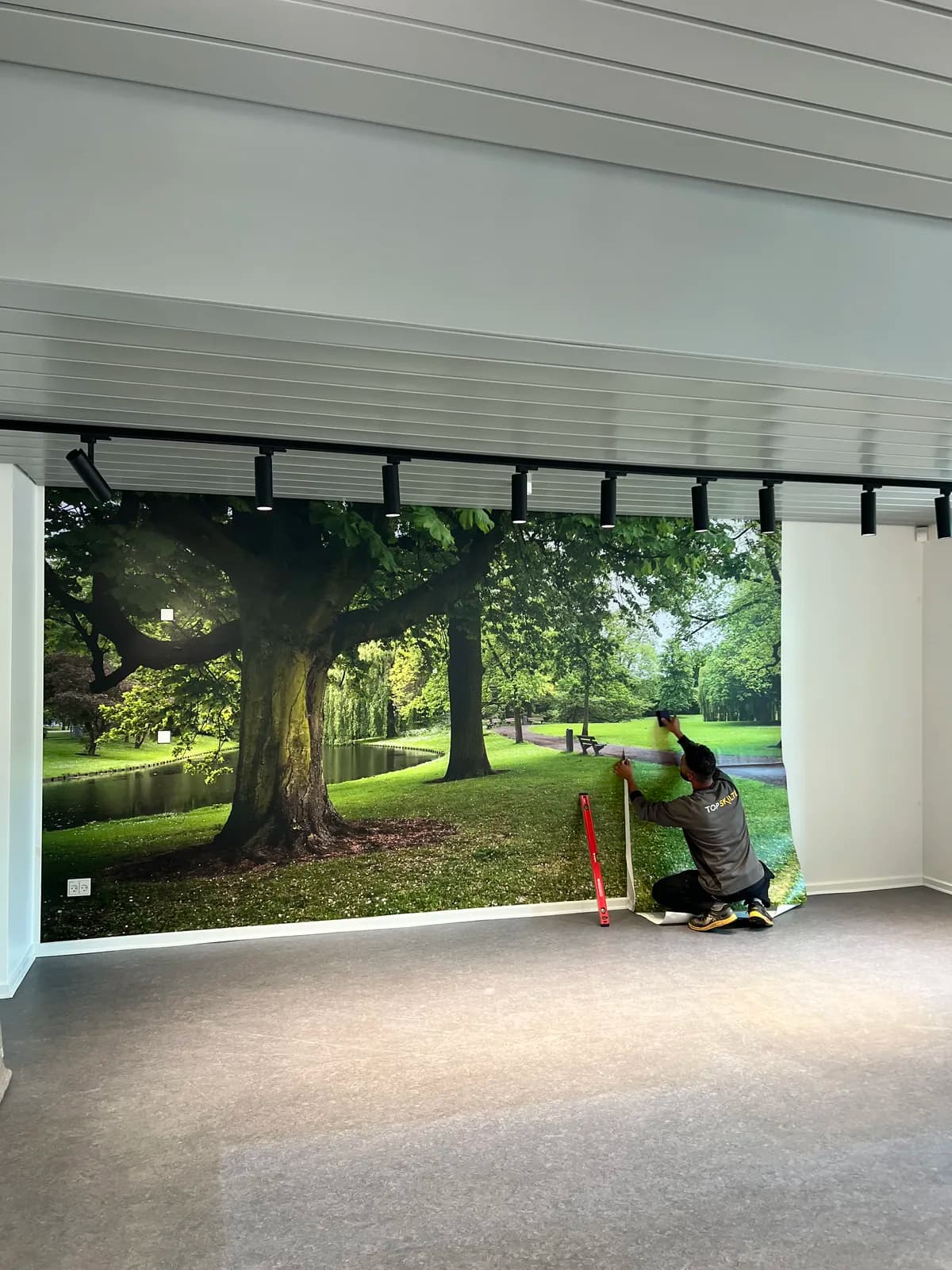 TopSkilte-montør monterer fototapet med parkmotiv på indervæg i moderne kontor