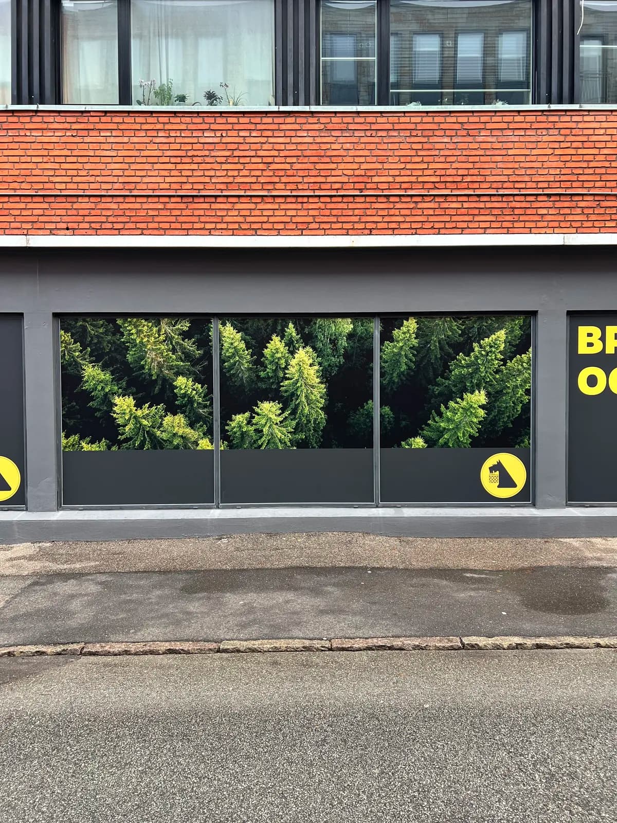 Vinduesfolie med fotoprint af skovmotiv til Netto-butik